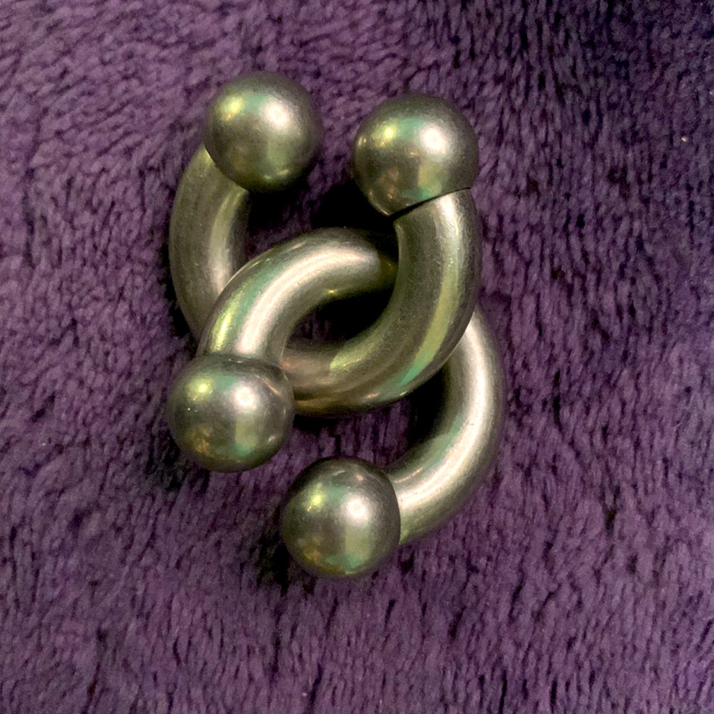 0 Gauge Circular Barbell Earrings